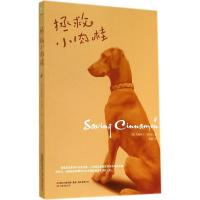 拯救小肉桂 Christine Sullivan 著 宗璞 译 文学 文轩网