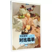 对比临摹——色彩静物 何玉凯//董少娟 著作 艺术 文轩网