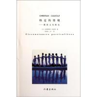 特定的情境 (法)克里斯蒂安?科若勒 著 赵克非 谷一 译 艺术 文轩网