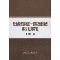 昭通褐煤腐植酸——脱腐植酸残渣梯级利用特性 王平艳 著 专业科技 文轩网