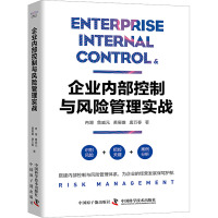 企业内部控制与风险管理实战 冉湖 等 著 经管、励志 文轩网