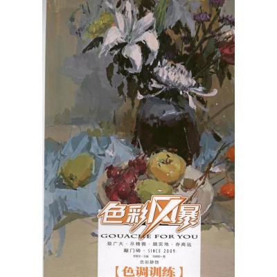 色彩风暴:色彩静物·色调训练 刘晓明 著作 艺术 文轩网