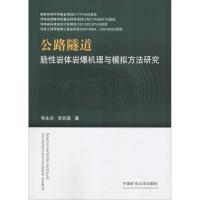 公路隧道脆性岩体岩爆机理与模拟方法研究 李永兵,李兵磊 著 大中专 文轩网