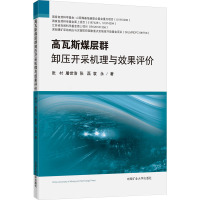 高瓦斯煤层群卸压开采机理与效果评价 张村 等 著 大中专 文轩网