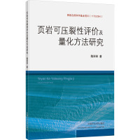 页岩可压裂性评价及量化方法研究 隋丽丽 著 大中专 文轩网