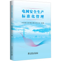 电网安全生产标准化管理 中国南方电网有限责任公司 编 专业科技 文轩网