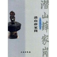 潜山薛家岗 潜山薛家岗 著作 社科 文轩网