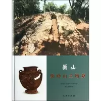 萧山柴岭山土墩墓 无 著 杭州市文物考古研究所 等 编 艺术 文轩网