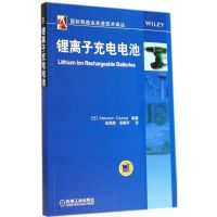 锂离子充电电池 无 著 小泽一范 编 赵铭姝 等 译 专业科技 文轩网