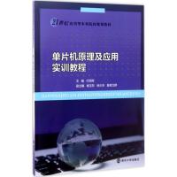 单片机原理及应用实训教程 付丽辉 主编 著作 大中专 文轩网