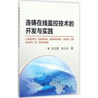 连铸在线监控技术的开发与实践 孙立根,朱立光 著 专业科技 文轩网