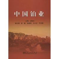 中国铂业 汪贻水 编 著作 著 专业科技 文轩网