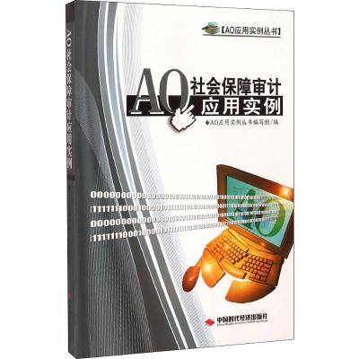 AO社会保障审计应用实例 《AO应用实例丛书》编写组 编 经管、励志 文轩网