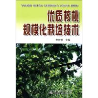 优质核桃规模化栽培技术 曹尚银 编 专业科技 文轩网