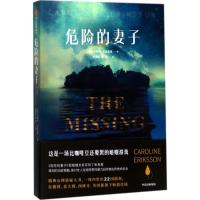 危险的妻子 [瑞典]卡洛琳·艾瑞克森 著 文学 文轩网