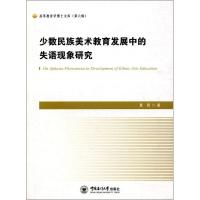 少数民族美术教育发展中的失语现象研究 夏晋 著 艺术 文轩网