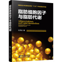 脂肪细胞因子与脂肪代谢 文凤云 著 专业科技 文轩网