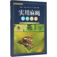 实用麻蝇彩色图鉴 岳巧云 主编 专业科技 文轩网