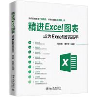 精进EXCEL图表:成为EXCEL图表高手 周庆麟,周奎奎 著 专业科技 文轩网