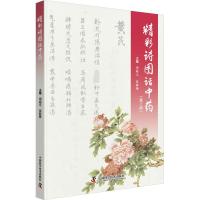 精彩诗图话中药(第2版) 周超凡,张静楷 编 生活 文轩网