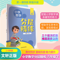 小学数学分层精练 6年级 下 徐雪刚,许英 等 编 文教 文轩网