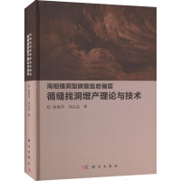 海相缝洞型碳酸盐岩储层循缝找洞增产理论与技术 赵海洋,刘志远 著 专业科技 文轩网