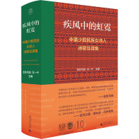 疾风中的虹霓 中墨少数民族女诗人诗歌互译集 吉狄马加,石一宁 编 文学 文轩网