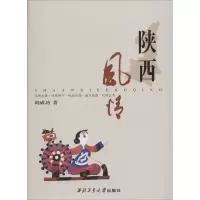 陕西风情 阎成功 著 社科 文轩网