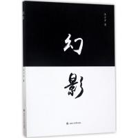 幻影 王小方 著 文学 文轩网