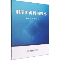 铜尾矿再利用技术 张冬冬,宁平,瞿广飞 著 专业科技 文轩网