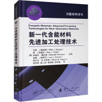 新一代含能材料先进加工处理技术 (美)马克·J.梅兹格 等 编 徐司雨 等 译 专业科技 文轩网