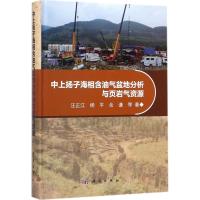 中上扬子海相含油气盆地分析与页岩气资源 汪正江 等 著 专业科技 文轩网