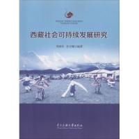 西藏社会可持续发展研究 周润年,狄方耀 编著 经管、励志 文轩网