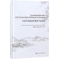 名老中医崔述生推拿手法图谱 崔述生名老中医工作室 编写 生活 文轩网