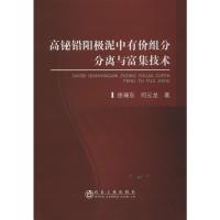 高铋铅阳极泥中有价组分分离与富集技术 徐瑞东,何云龙 著 专业科技 文轩网