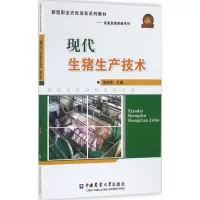 现代生猪生产技术 关红民 主编 著作 专业科技 文轩网