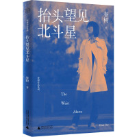 抬头望见北斗星 春树 著 文学 文轩网