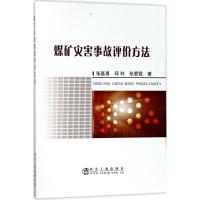 煤矿灾害事故评价方法 张嘉勇,邱利,张爱霞 著 专业科技 文轩网