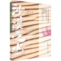 沙漠之光 毛玉山 著 文学 文轩网