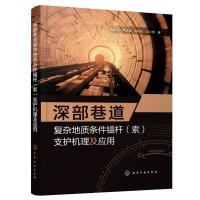 深部巷道复杂地质条件锚杆(索)支护机理及应用 吴德义、李永杨、刘杭杭、吴少璟 著 著 专业科技 文轩网