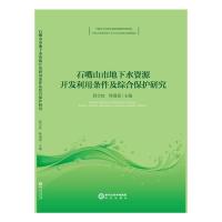 石嘴山市地下水资源开发利用条件及综合保护研究 薛忠歧 韩强强 著 专业科技 文轩网