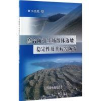 高台阶排土场散体边坡稳定性及其病害防治 王光进 著 专业科技 文轩网