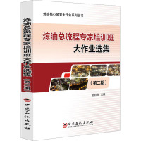 炼油总流程专家培训班大作业选集(第2期) 赵日峰 编 专业科技 文轩网