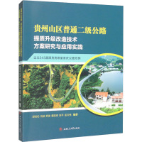 贵州山区普通二级公路提质升级改造技术方案研究与应用实践 以G243湄潭月亮坝至余庆公路为例 郑世伦 等 编 专业科技