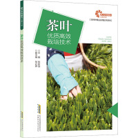 茶叶优质高效栽培技术 张家侠 编 专业科技 文轩网