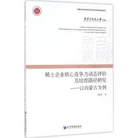 稀土企业核心竞争力动态评价及培育路径研究 马越峰 著 著作 经管、励志 文轩网