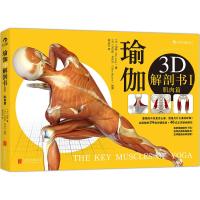 瑜伽3D解剖书 