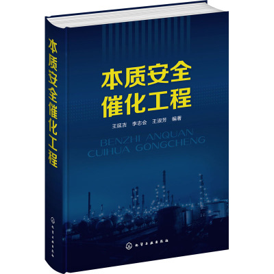 本质安全催化工程 王延吉,李志会,王淑芳 编 专业科技 文轩网