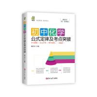 初中化学公式定律及考点突破 查正兴 编 文教 文轩网