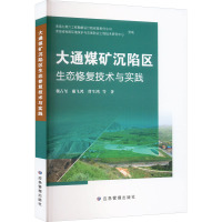 大通煤矿沉陷区生态修复技术与实践 魏占玺 等 著 专业科技 文轩网